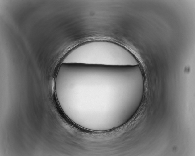 X0000100470013200806130805