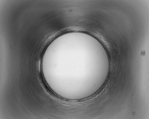 X0000100470014200806130805