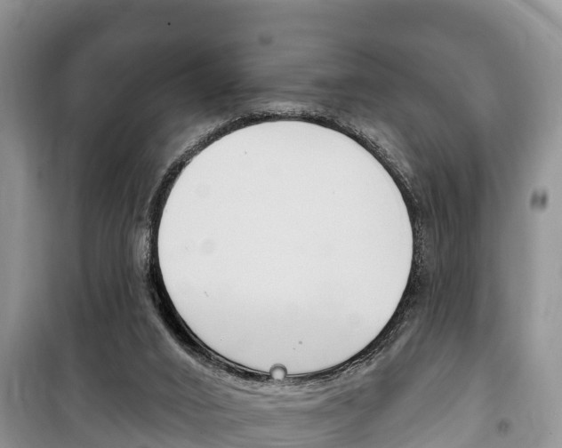 X0000100470016200806130805