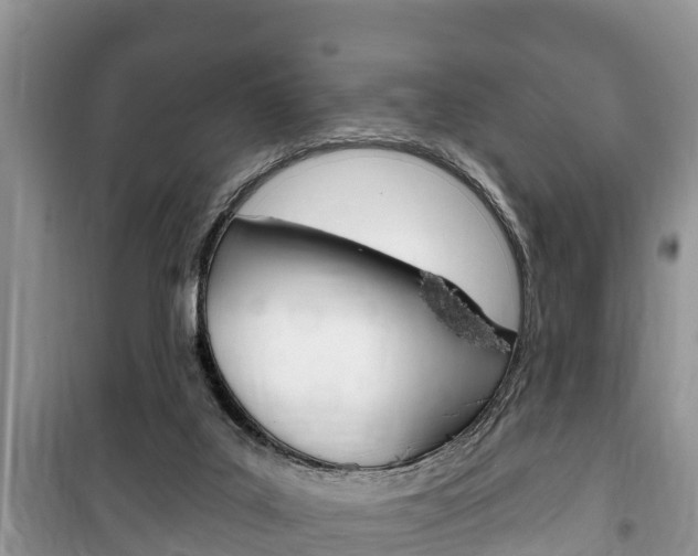 X0000100470019200806130805