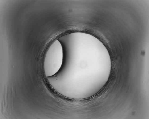 X0000100470020200806130805