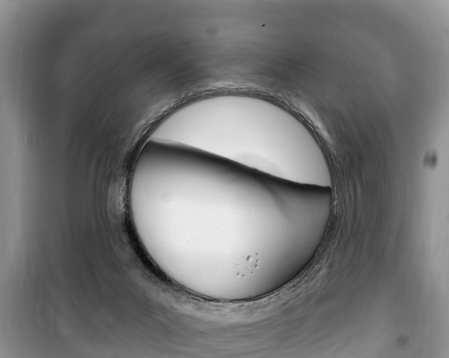X0000100470023200806130805