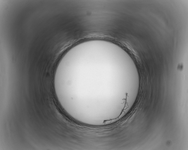 X0000100470024200806130805