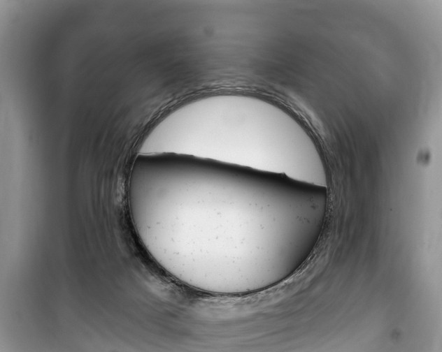 X0000100470025200806130805