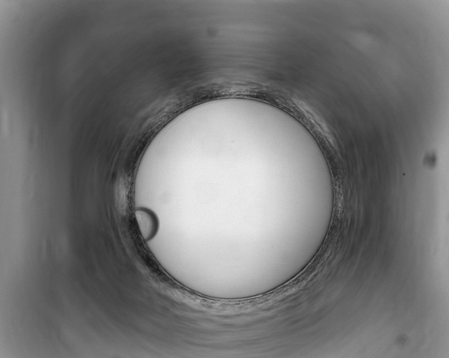 X0000100470026200806130805