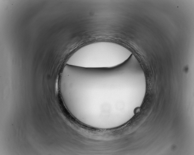 X0000100470028200806130805