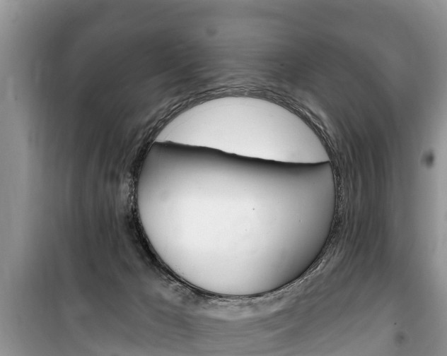 X0000100470029200806130805