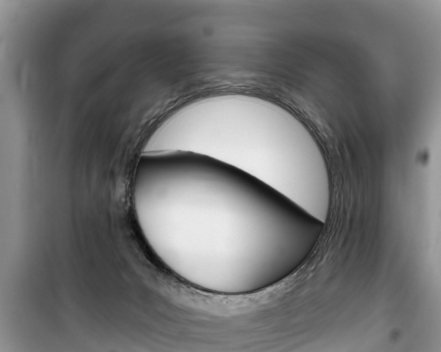 X0000100470031200806130805