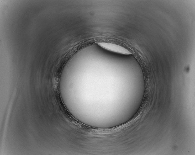 X0000100470033200806130805