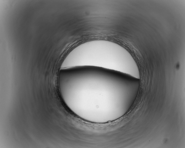 X0000100470035200806130805