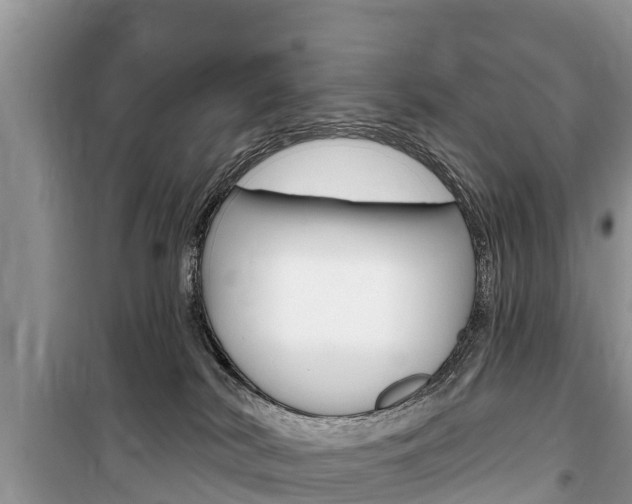 X0000100470038200806130805