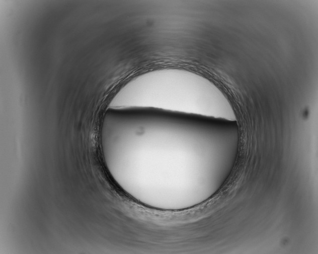 X0000100470039200806130805