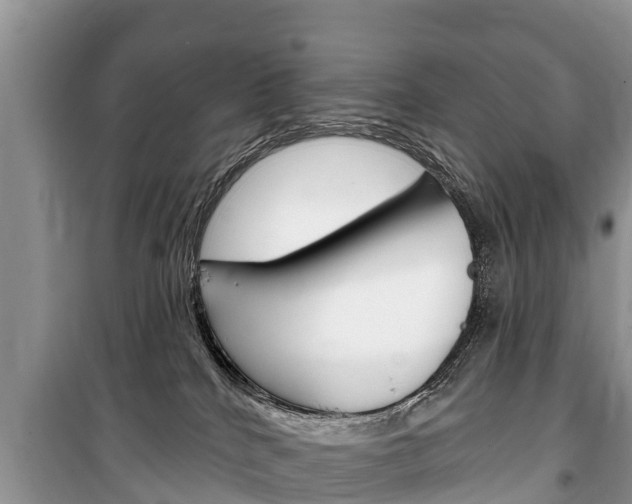 X0000100470040200806130805