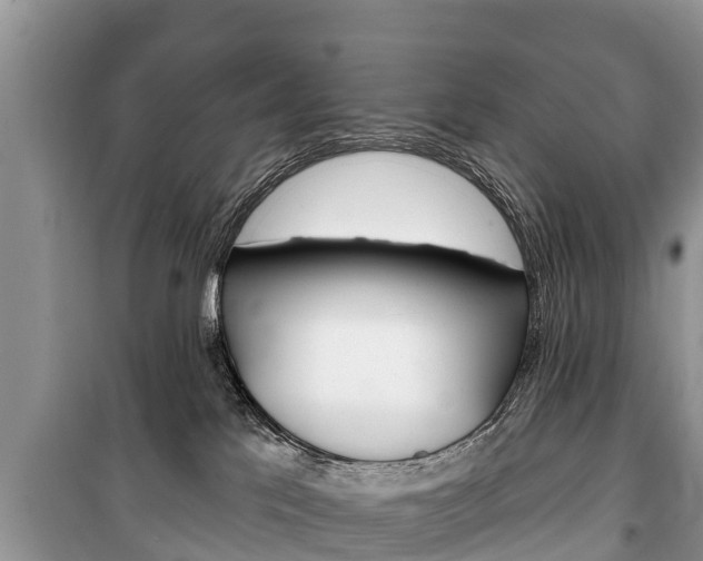 X0000100470041200806130805