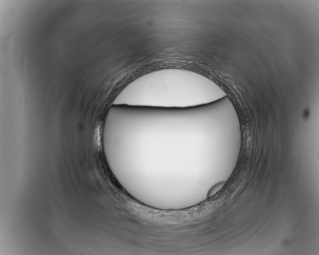 X0000100470042200806130805