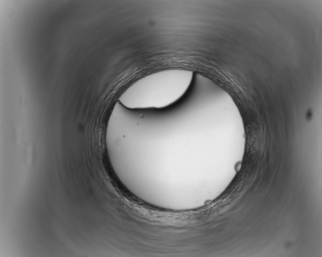 X0000100470044200806130805