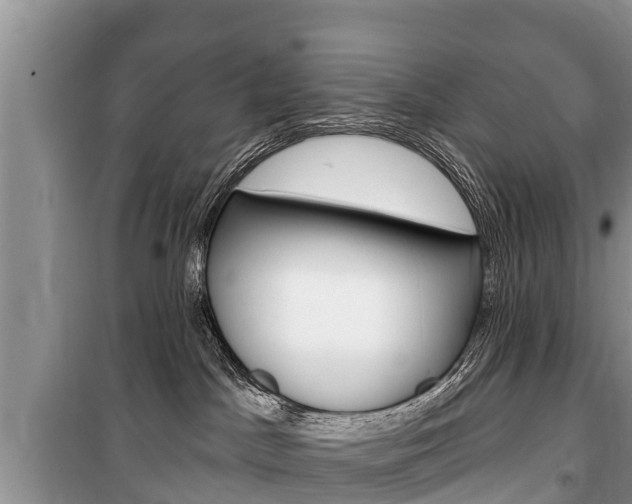 X0000100470045200806130805
