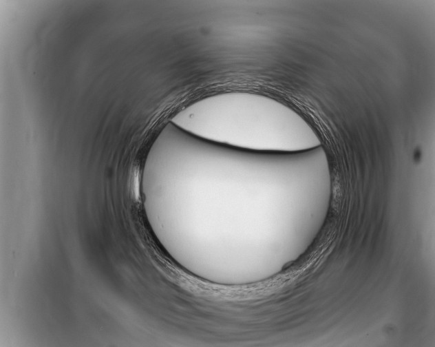 X0000100470046200806130805
