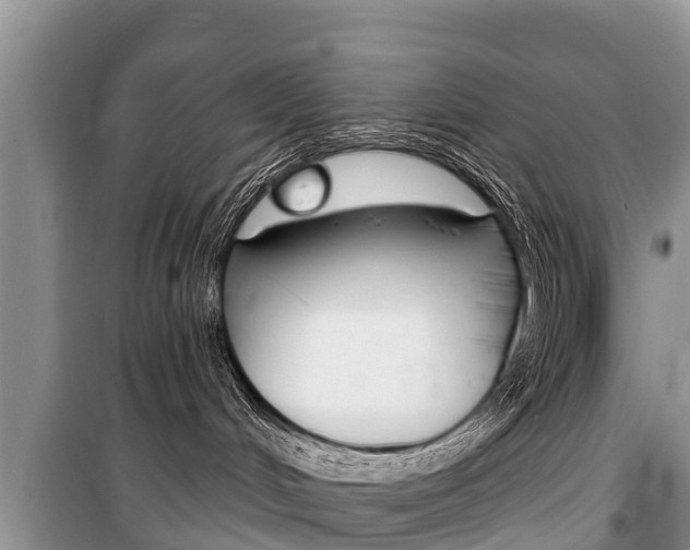 X0000100470048200806130804