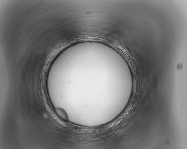 X0000100470049200806130804