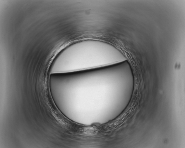 X0000100470050200806130804