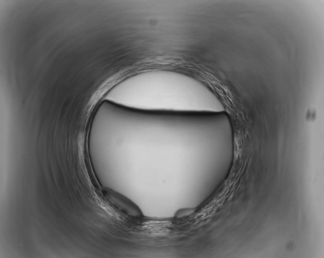 X0000100470051200806130804