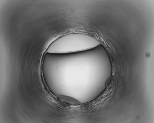 X0000100470052200806130804