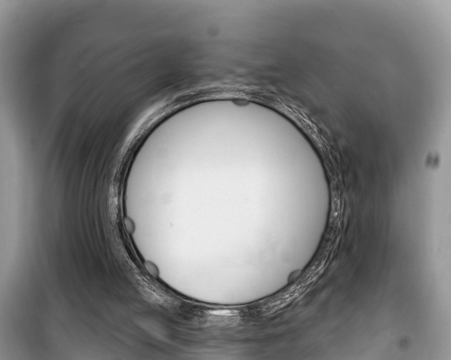 X0000100470053200806130804