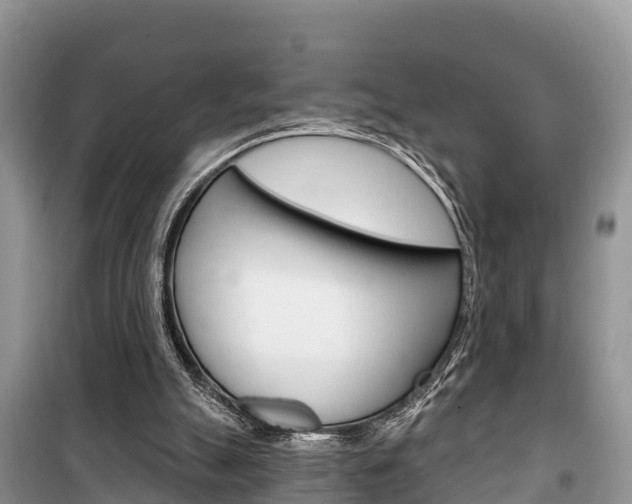 X0000100470055200806130804