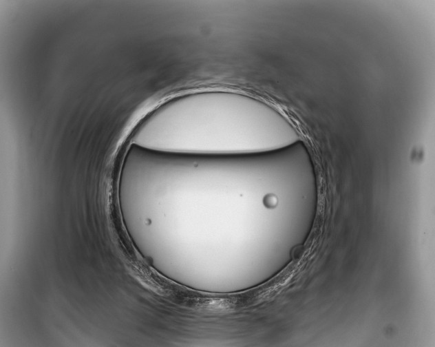 X0000100470056200806130804