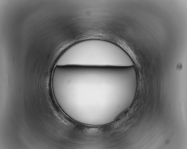 X0000100470058200806130804