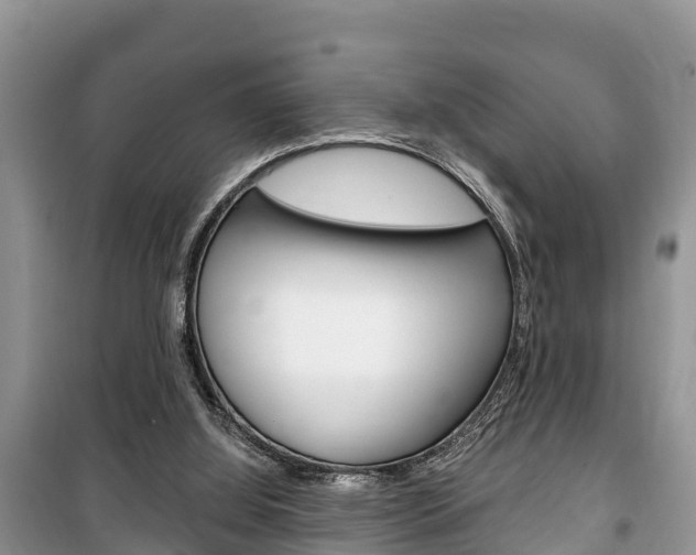 X0000100470060200806130804