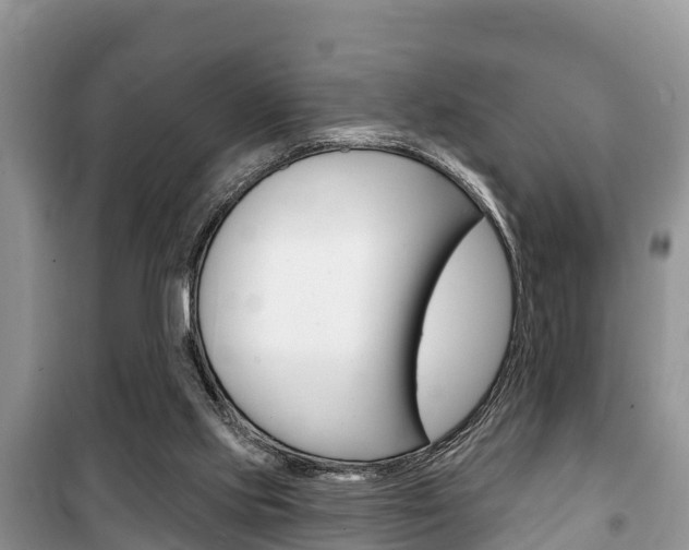 X0000100470061200806130804