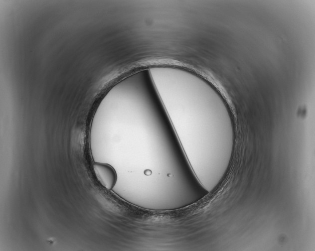X0000100470063200806130804