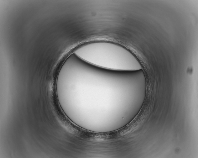 X0000100470064200806130804