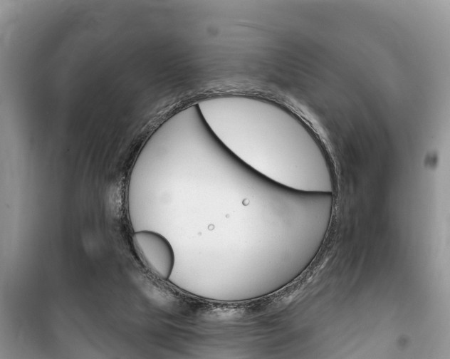 X0000100470065200806130804