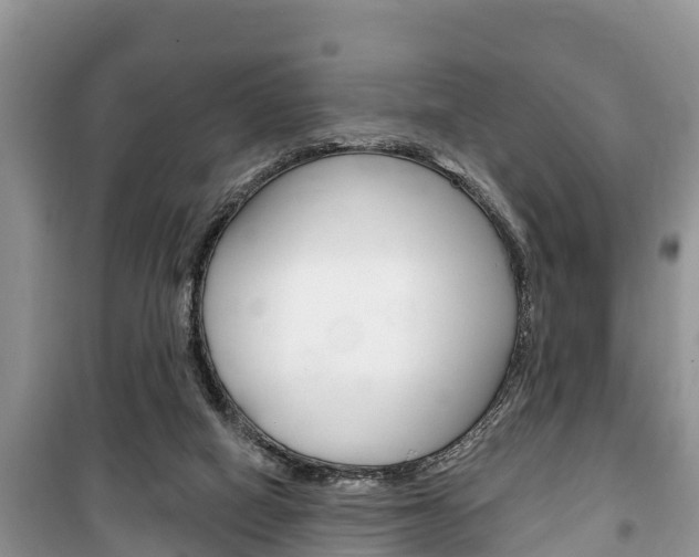 X0000100470066200806130804