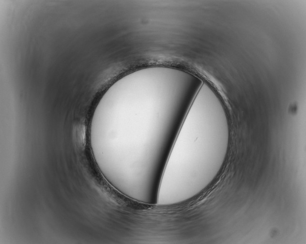 X0000100470067200806130804