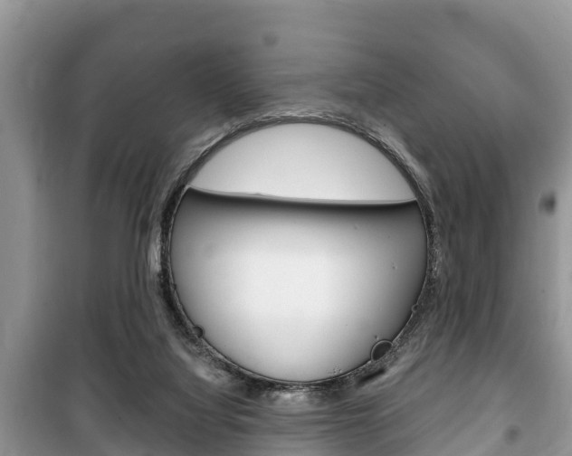 X0000100470068200806130804