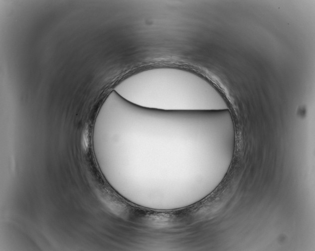 X0000100470069200806130804