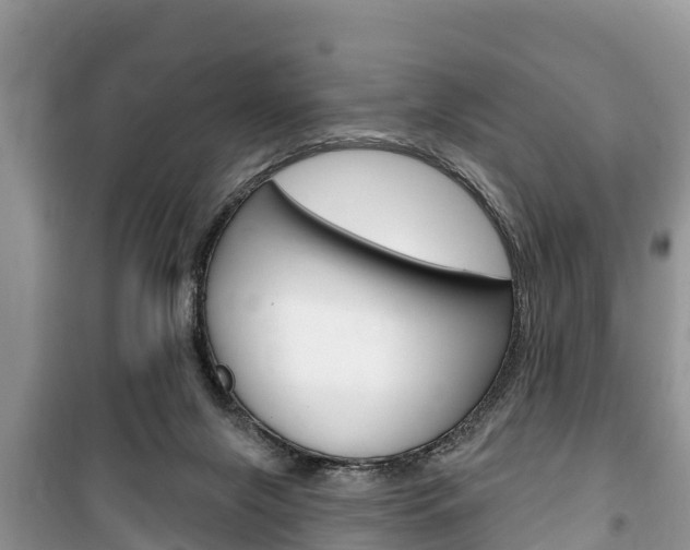 X0000100470071200806130804