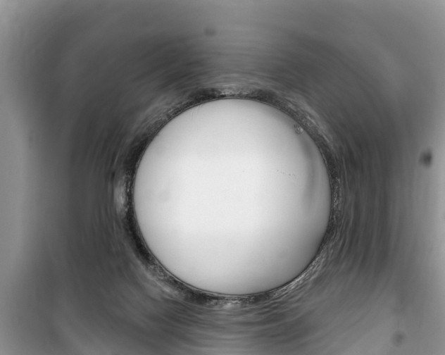 X0000100470074200806130804