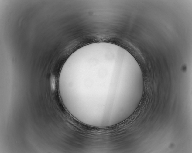 X0000100470075200806130804