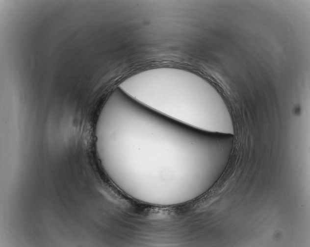 X0000100470077200806130804