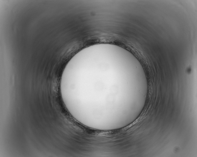 X0000100470078200806130804