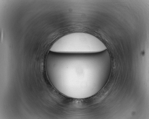 X0000100470080200806130804