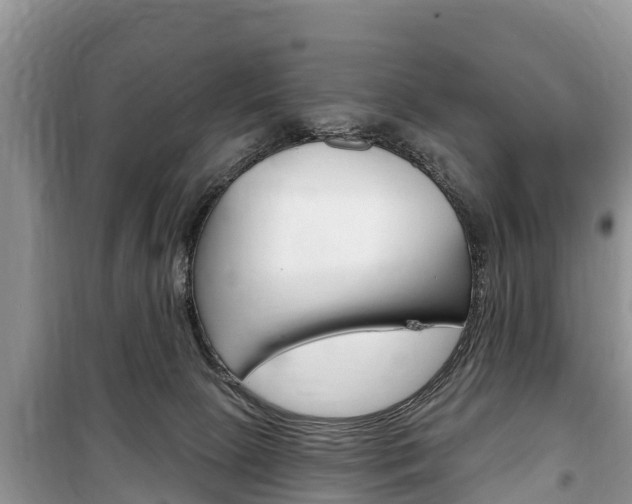 X0000100470081200806130804