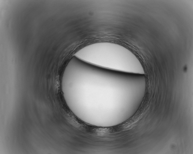 X0000100470085200806130804