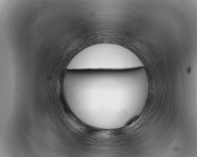 X0000100470086200806130804
