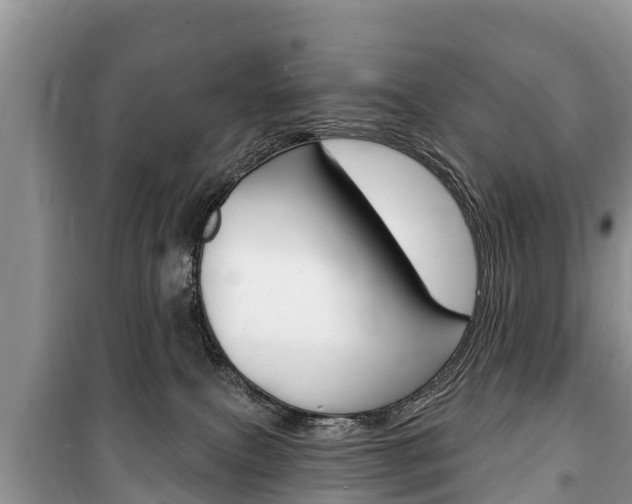 X0000100470087200806130804